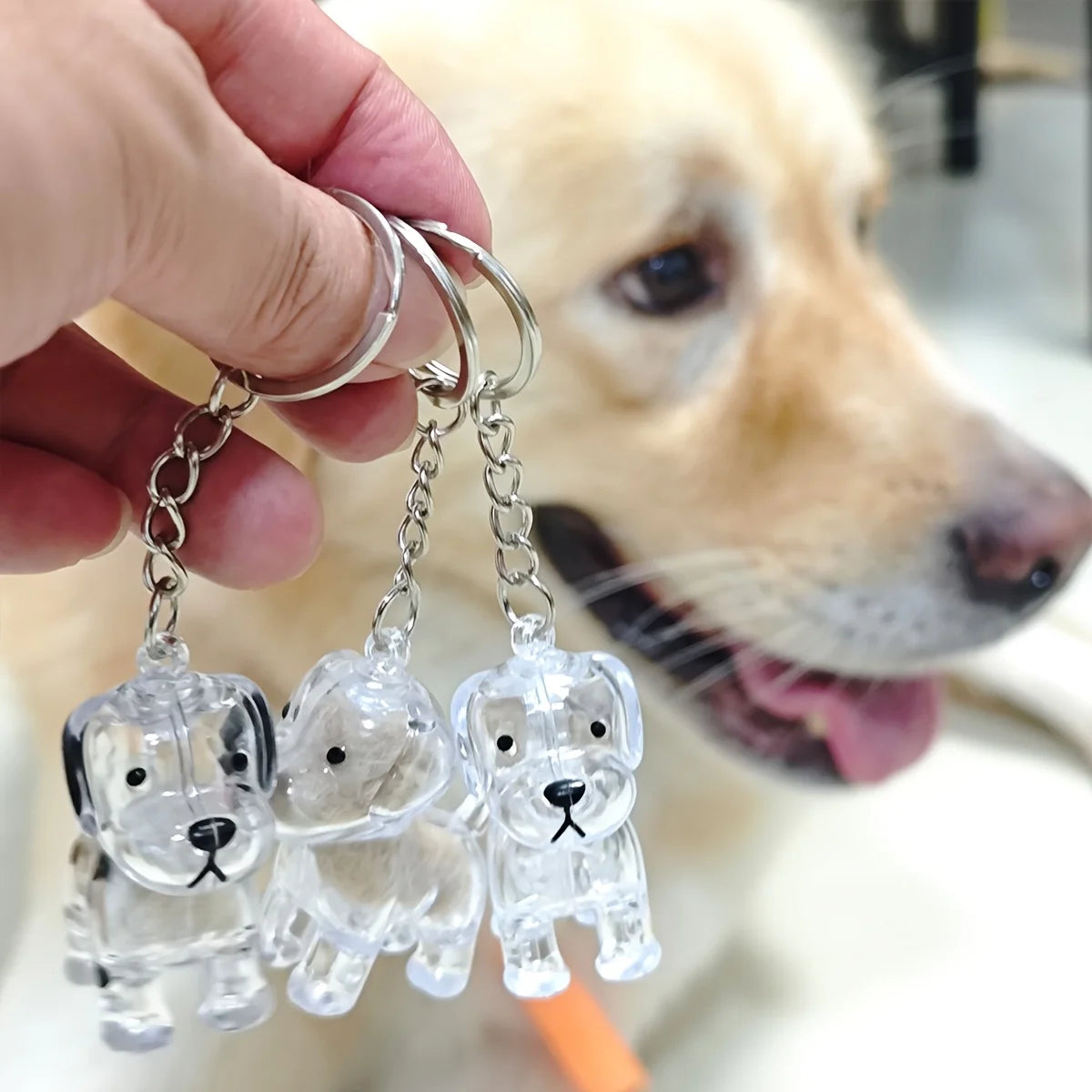 Cápsula de Recuerdo "Huella Eterna" – Llavero Relicario para Pelitos de Mascota